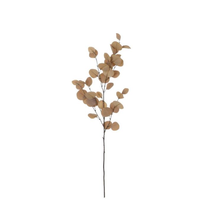 Eucalyptus bruin l97cm