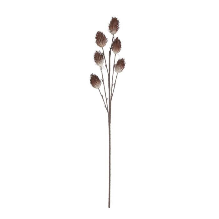 Distel bruin l105xb20xh5cm