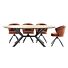 Eettafel Larente ovaal bruin/metaal 220x120cm