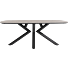 Eetkamertafel Masura Ovaal 200x105 Cm Roest