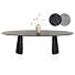 Eetkamertafel Arabax Ellips 270x120 Cm Onyx