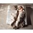 Birds Sparrow Matras