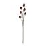 Distel bruin l105xb20xh5cm