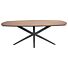 Eettafel Warita Deens Ovaal 220x120 cm