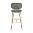 Barstoel Xenia Jade Velvet / Brushed Gold