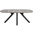 Eetkamertafel Minato Ovaal 240x110 Cm Lichtgrijs