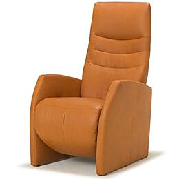 De Toekomst Relaxfauteuil New Fabulous Five F3-300