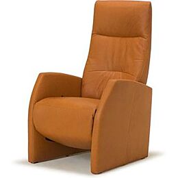 De Toekomst Relaxfauteuil New Fabulous Five F5-300