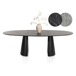 Eetkamertafel Arabax Ellips 240x120 Cm Lichtgrijs