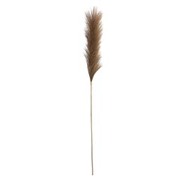 Pluimgras goud