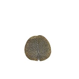 Ornament Leaf antiek brons