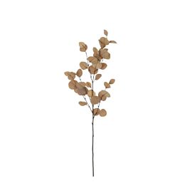 Eucalyptus bruin l97cm