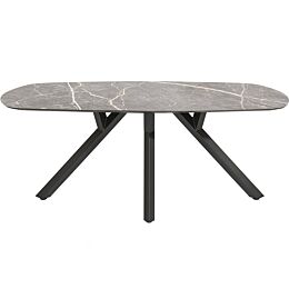 Eetkamertafel Minato Ovaal 240x110 Cm Lichtgrijs
